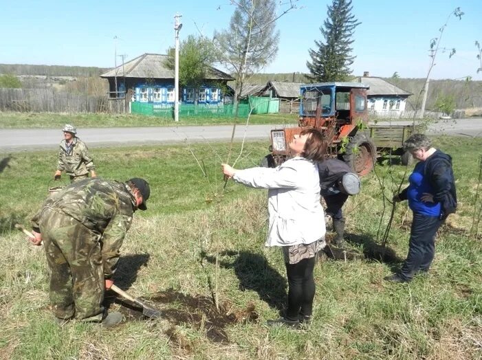 тяжинский. администрация тяжинского района. детский садик новопокровка. лесничество новопокровский район. нововосточный новопокровка кемеровская область тяжинский район.