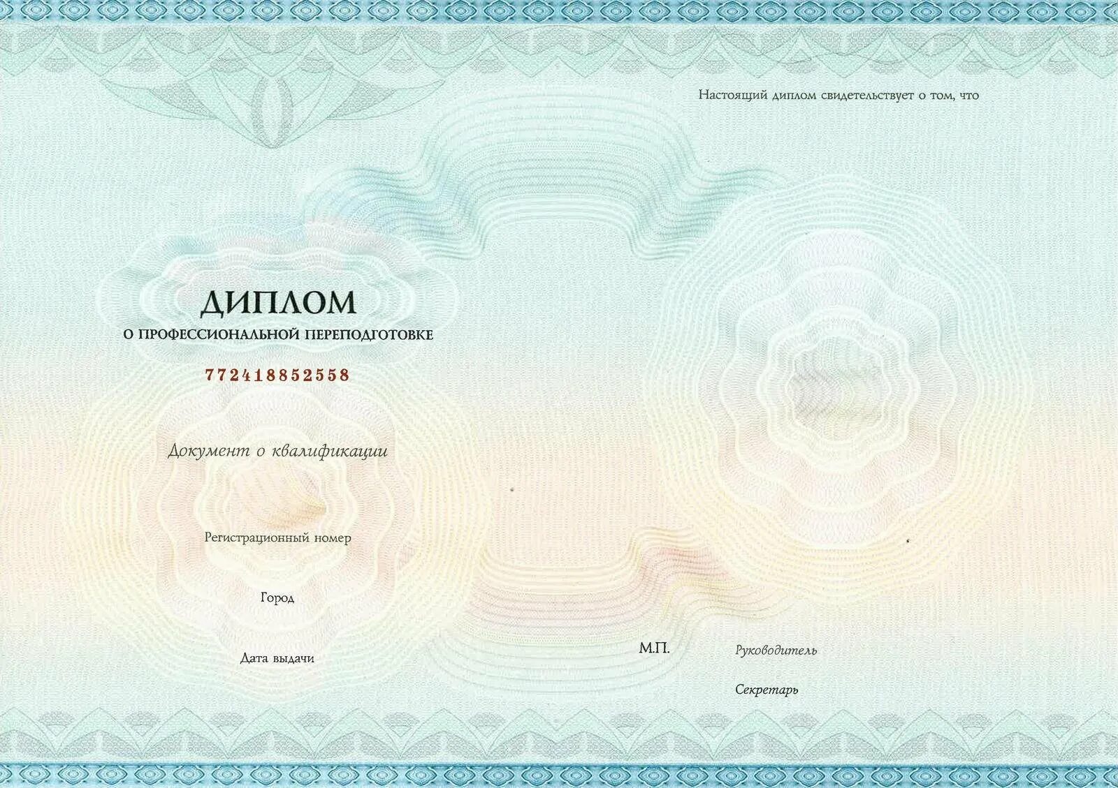 Виды профессиональной переподготовки. Диплом о профессиональной переподготовке мпсу.