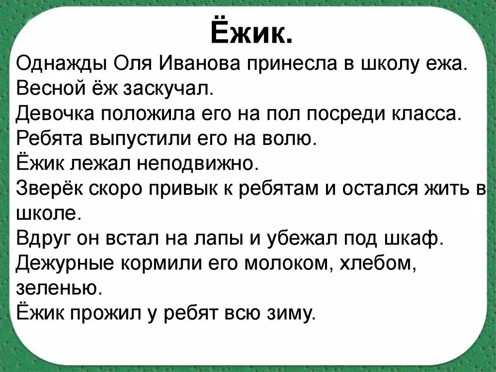 Текст ежи 6 класс. Ежик однажды Оля Иванова принесла в школу ежа. Однажды Оля Иванова принесла. Редактирование текста 2 класс. Текст однажды Оля Иванова принесла в школу.