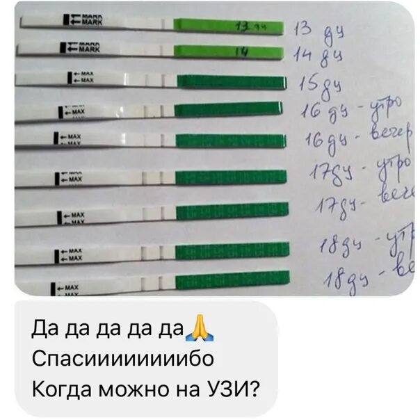 Тест на беременность после овуляции. Тест на овуляцию после овуляции. Тест на беременность через дней после овуляции. Тесты на беременность по дням. Когда после овуляции делать тест на беременность