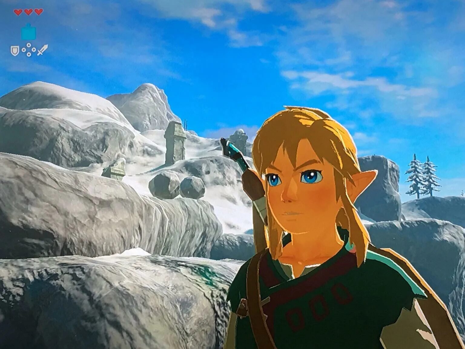 Zelda botw mods. Бидл Зельда. Зельда джунли. Легенда о Зельде игра. Зельда 2007.