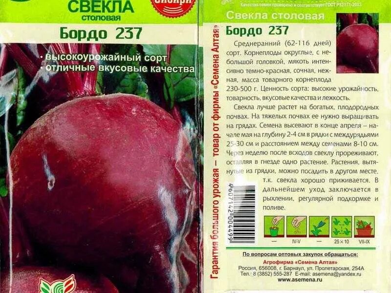 Свекла лучший сорт отзывы. Свекла сорт «бордо 237». свекла бордо 237 описание. свекла семена лучшие сорта для открытого грунта. свёкла сорта для посадки лучшие сорта.
