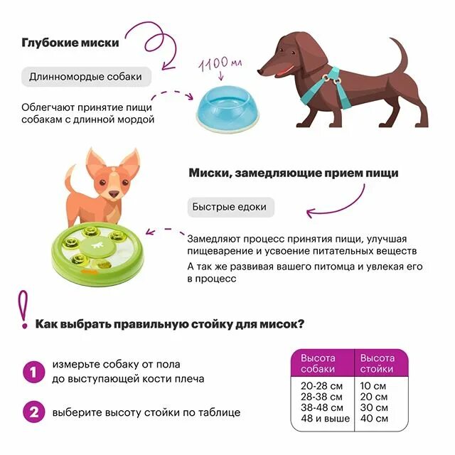 Как правильно подобрать собаку. Как выбрать миску для собаки. Правильная миска для собаки. Как выбрать миски. Как выбрать миску для собаки правильно.