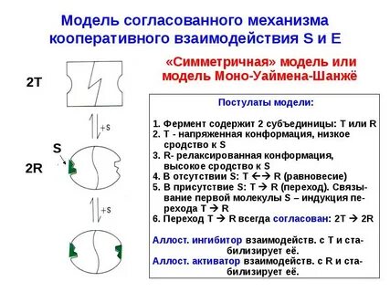 Модели согласования