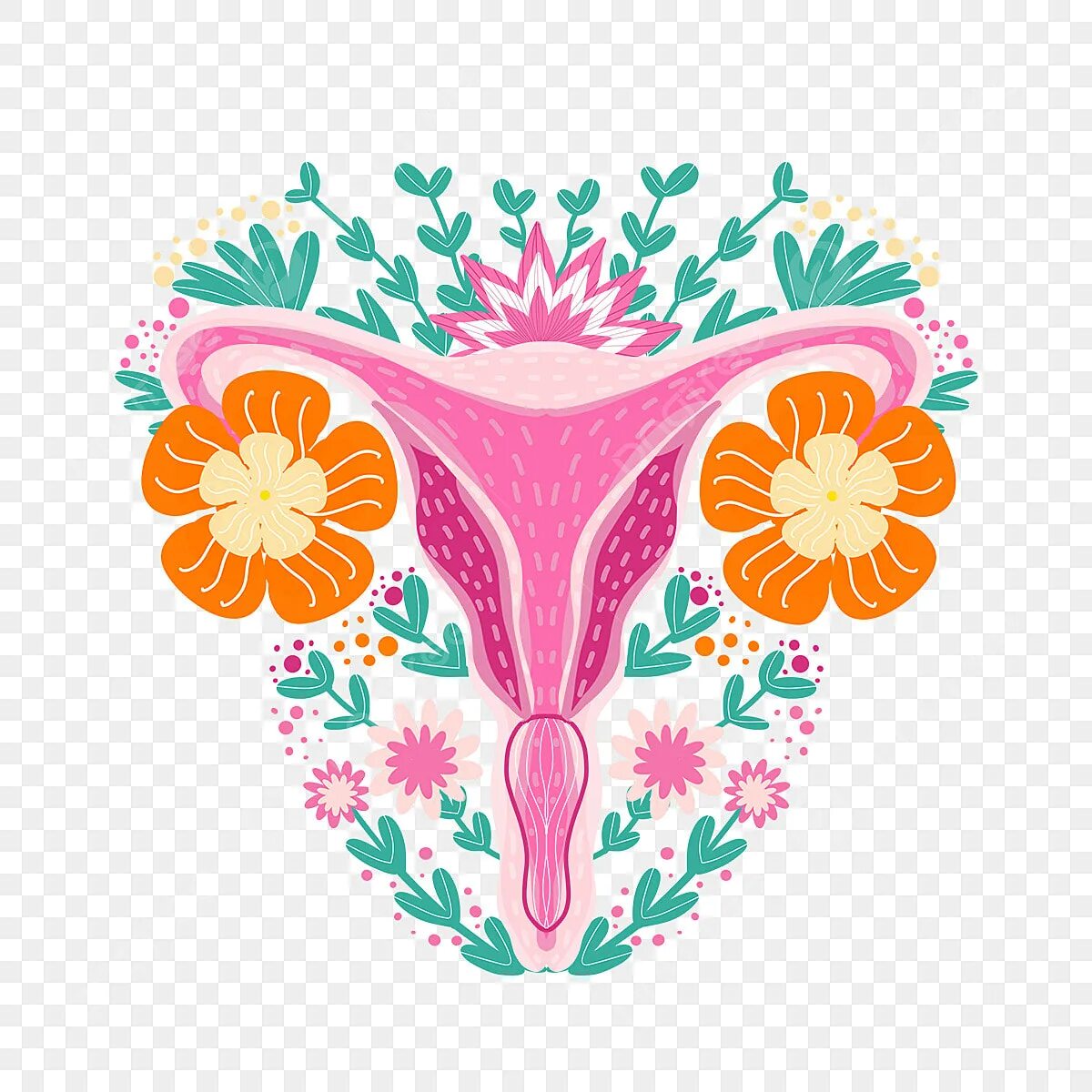 Органы женщины цветы арт. Рисунок женских органов. Репродуктивная система женщины рисунок. Изображение органов в виде цветов. Биология женские органы