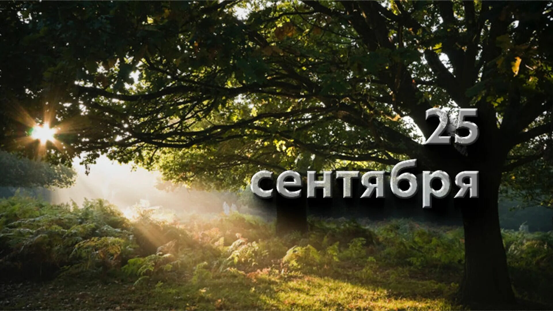 25 Сентября. 25 Сентября праздник. 25 Сентября картинки. Сентябрь это 25 лет. Время 25 сентября