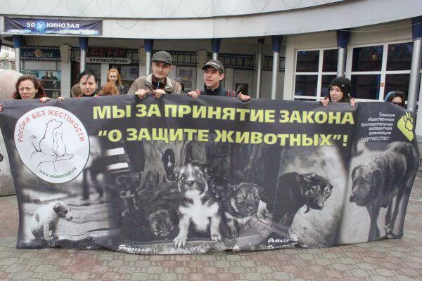 Дарящие надежду - Страница 34 - Благотворительный фонд помощи животным