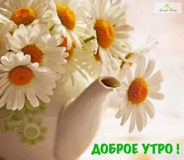 Дня тебе хорошего светлого