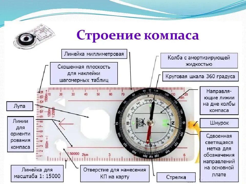 Учебник по компасу. Как пользоваться компасом в ориентировании спортивном. Строение компаса. Составные части компаса. Стороны света на компасе.