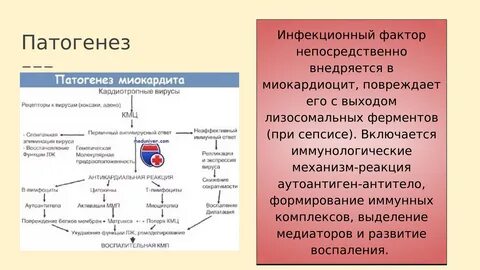 Факторы непосредственно