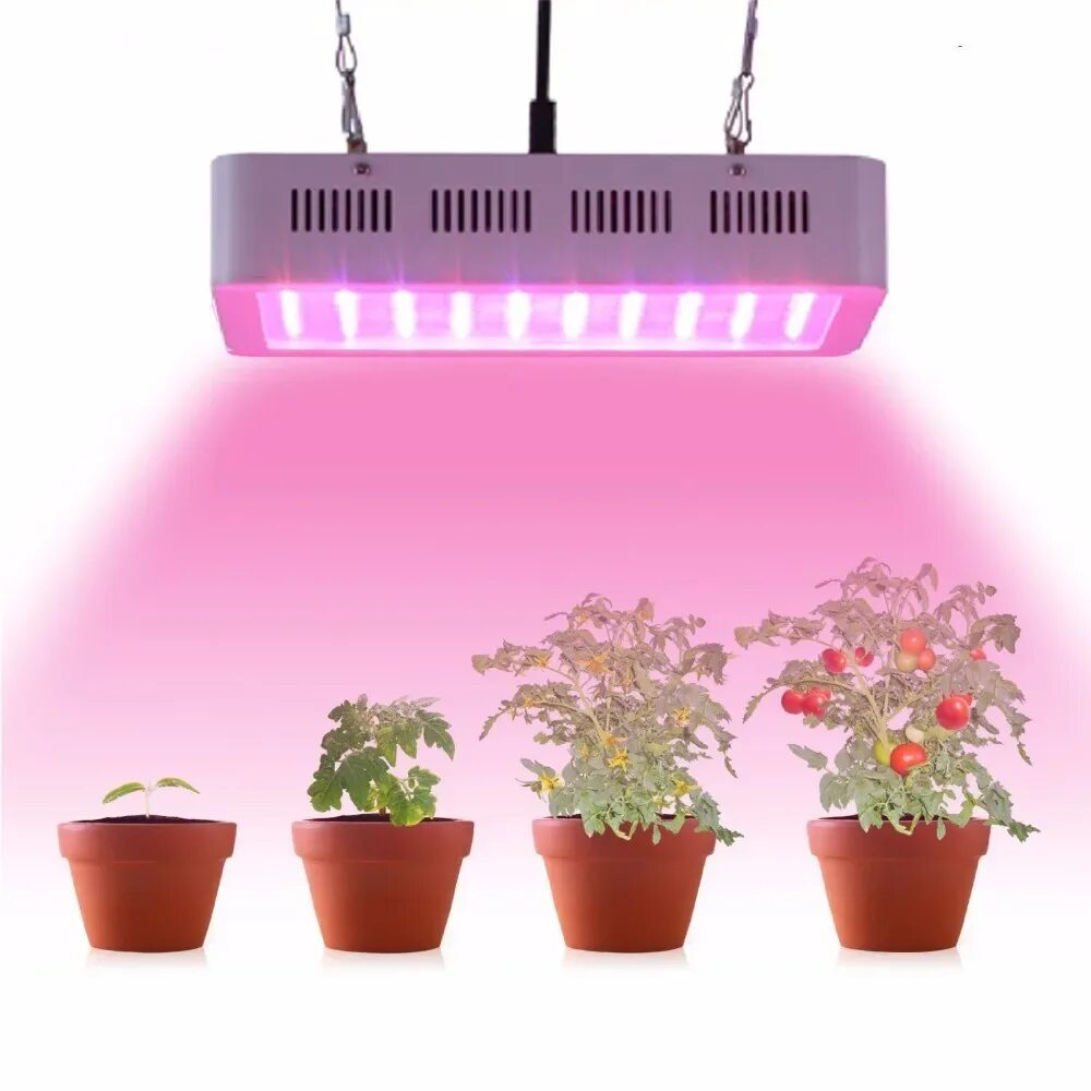 Фитолампа led grow Light. MASTERGROW 300w фитолампа. Лампа General 6500k 40 Вт для досвечивания рассады. Led лампы для растений 600w 220v.