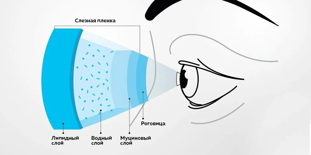 Глазки сухо. Синдром сухого глаза строение слезной пленки. Слезная пленка состоит из трех слоев. Липидный слой слезной пленки строение. Синдром сухого глаза схема.
