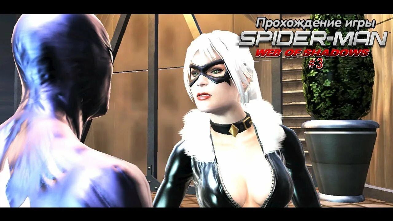 Black cat web of shadows. Black cat web of shadows