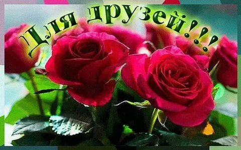 День друзей цветы