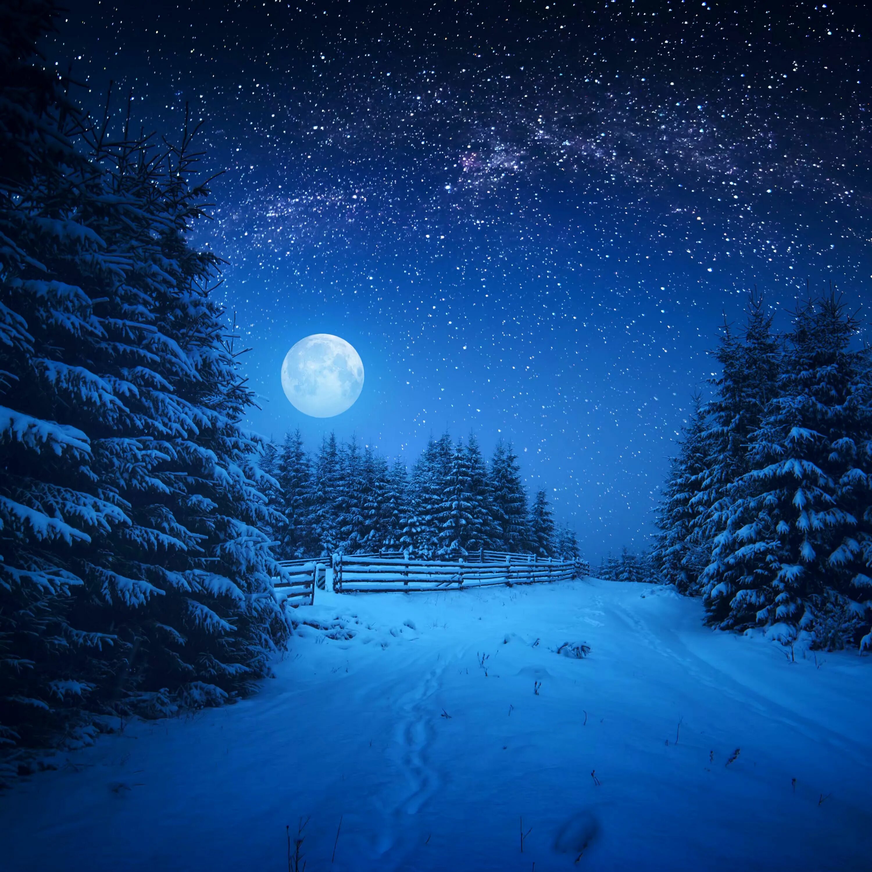 Луна зимой ночью. Зимняя ночь. Ночной зимний лес. Ночь снег Луна. Зимний лес ночью.