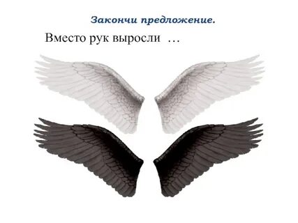 Вторая пара крыльев