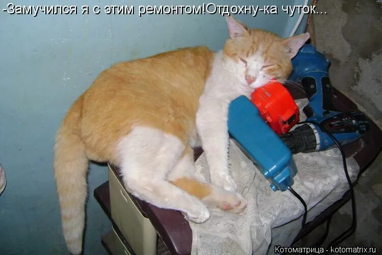 Юнмины фанфики хозяин прошу хватит мне больно. Прошу хозяин мне больно. Прошу хозяин мне больно. Ура ру нижневартовск. Прошу хозяин мне больно.