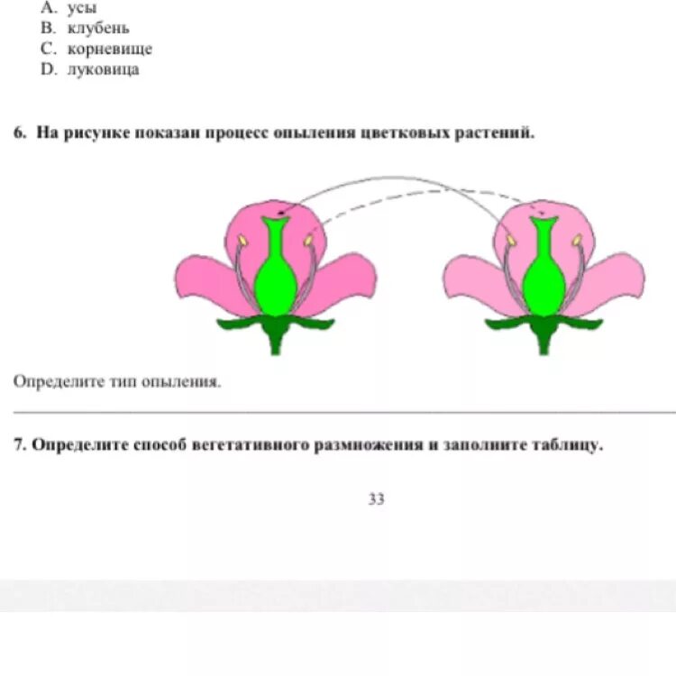 Какой процесс следует за опылением. Способы опыления растений схема. Схема типы опыления растений. Процесс опыления. Типы опыления цветковых растений.