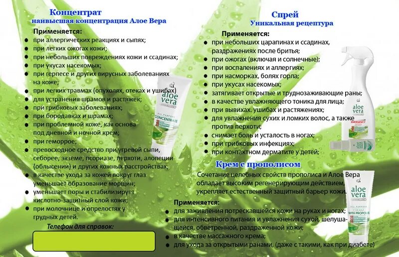 Алоэ геморроя помогает. Алоэ от геморроя. алоэ при себорейном дерматите. сок алоэ при геморрое. сок алоэ при кожных заболеваниях.