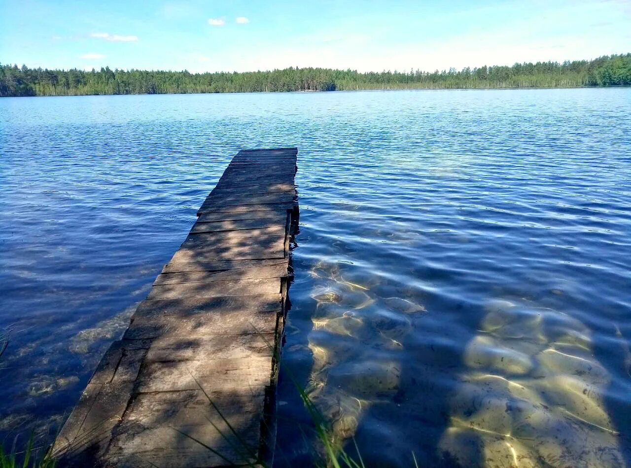 Потратили озер. Озеро Нужьяр Марий Эл. Озеро Чуркан Марий Эл. Озеро Карасьяр Марий Эл. Озеро Нужъялы Марий Эл.