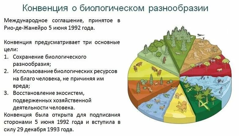 Конвенция о биологическом разнообразии. Конвенция о биологическом разнообразии 1992. Сохранение биоразнообразия. Конвенция по сохранению биоразнообразия. Биоразнообразие в экосистеме