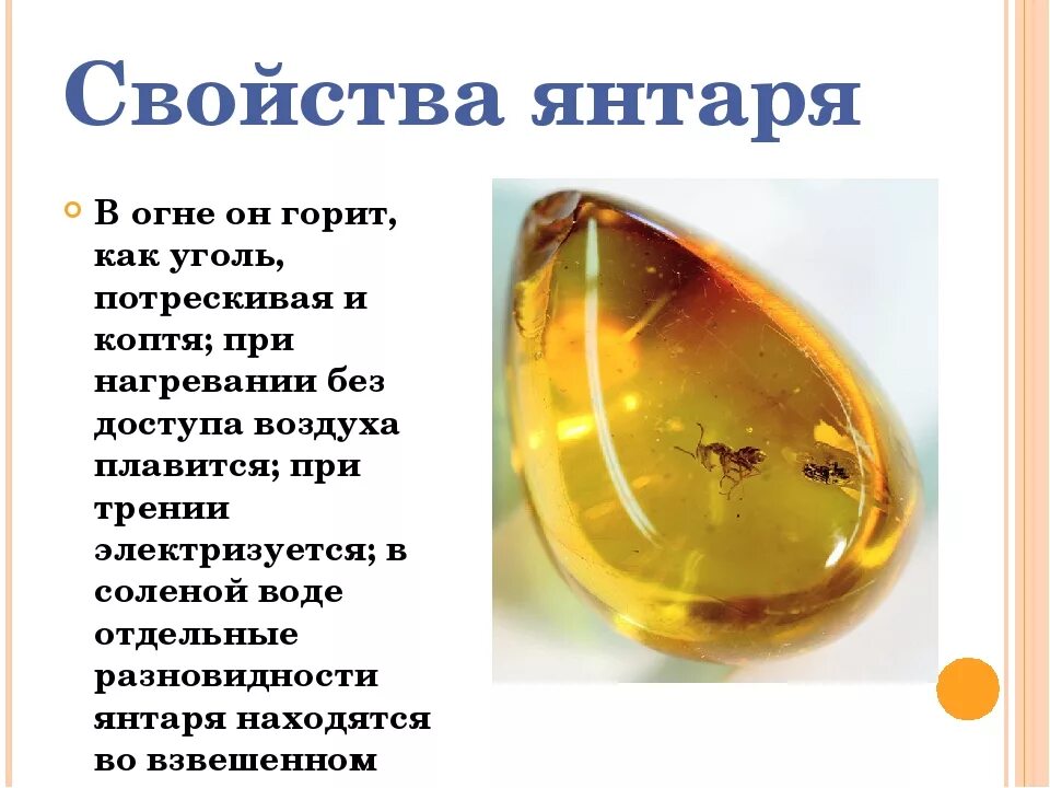 Янтарь значение камня. Янтарь камень магические свойства описание. янтарь описание камня. камень талисман янтарь. янтарь характеристика.
