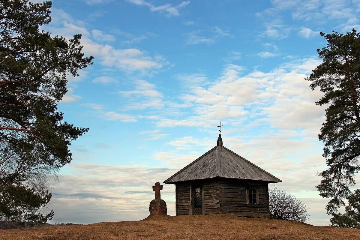 Михайловское Савкина горка. Савкина гора. Савкина горка в Пушкинских горах. Савкино Псковская область.