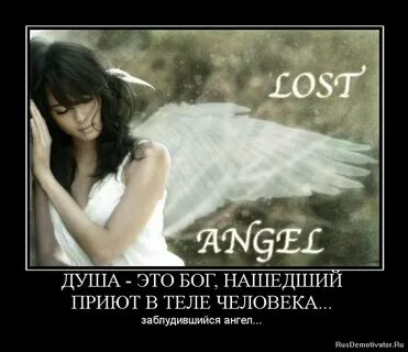 Наш ангел заблудился в небесах