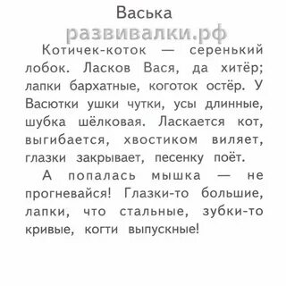 Текст про ваську