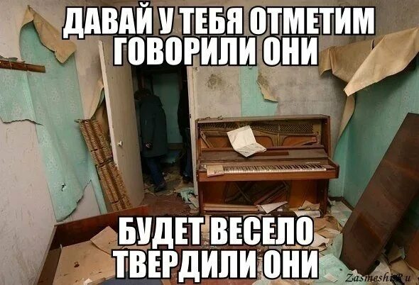 Говорили они будет весело говорили они. Заведи кота говорили они коты создают уют говорили они. Завести кота. Завести кота. Коты создают уют говорили они.