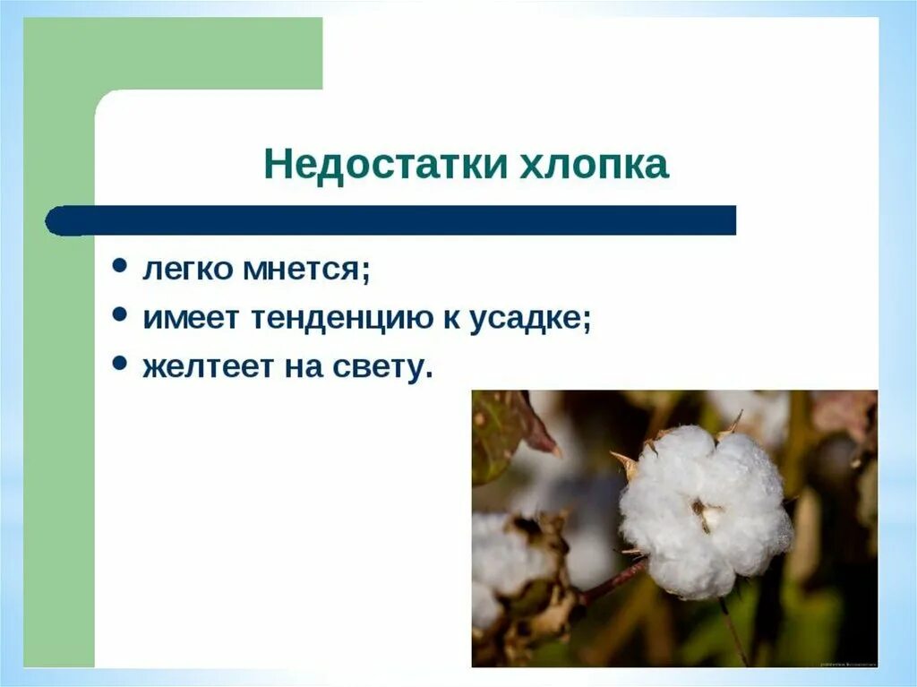 Презентация на тему хлопок. Хлопки для презентации. Доклад на тему хлопок. Проект о хлопке. Хлопок доклад