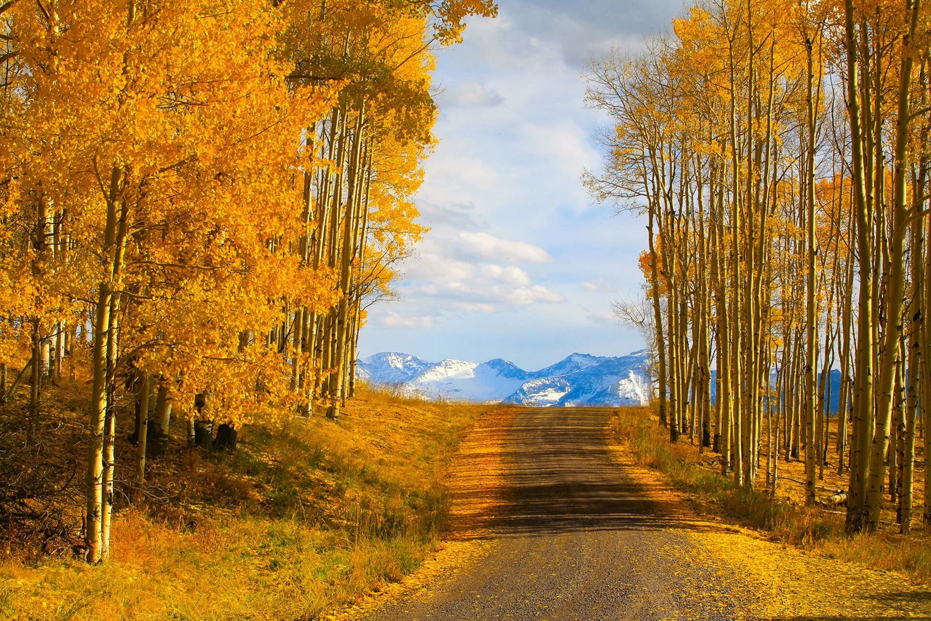 Картинки осень природа. Осенний пейзаж. Осенняя дорога. Ранняя осень. Природа осень.