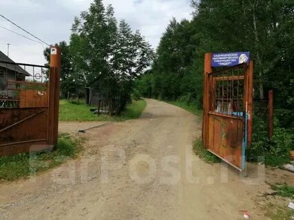 Погода осиновая речка
