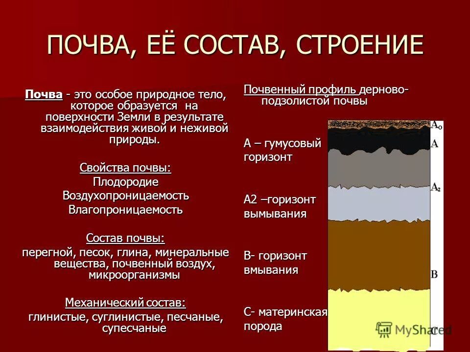 Состав и строение почвы. Плитчатая структура почвы. Состав и строение почвы. Общее строение почвы. Строение почвы.