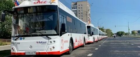 Рыбинск череповец автобус