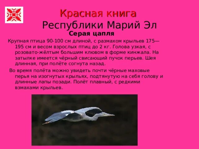 Красная книга республики марий эл животные. Красная книга республики марий эл животные