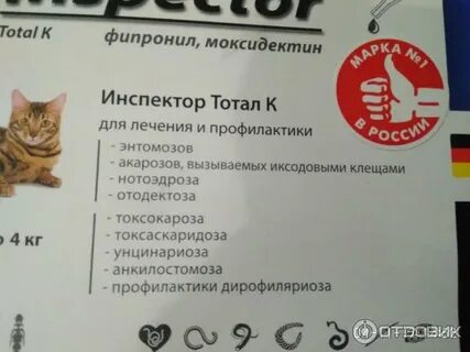 Кошки побочка
