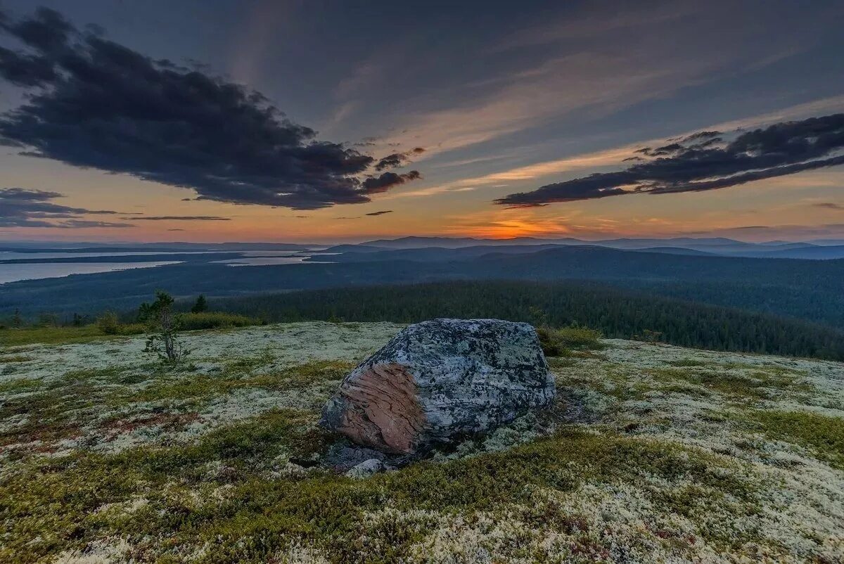 Заполярная природа словно. Заполярье Кольский полуостров. Мурманск природа Кольский полуостров. Сопки Кольского полуострова.