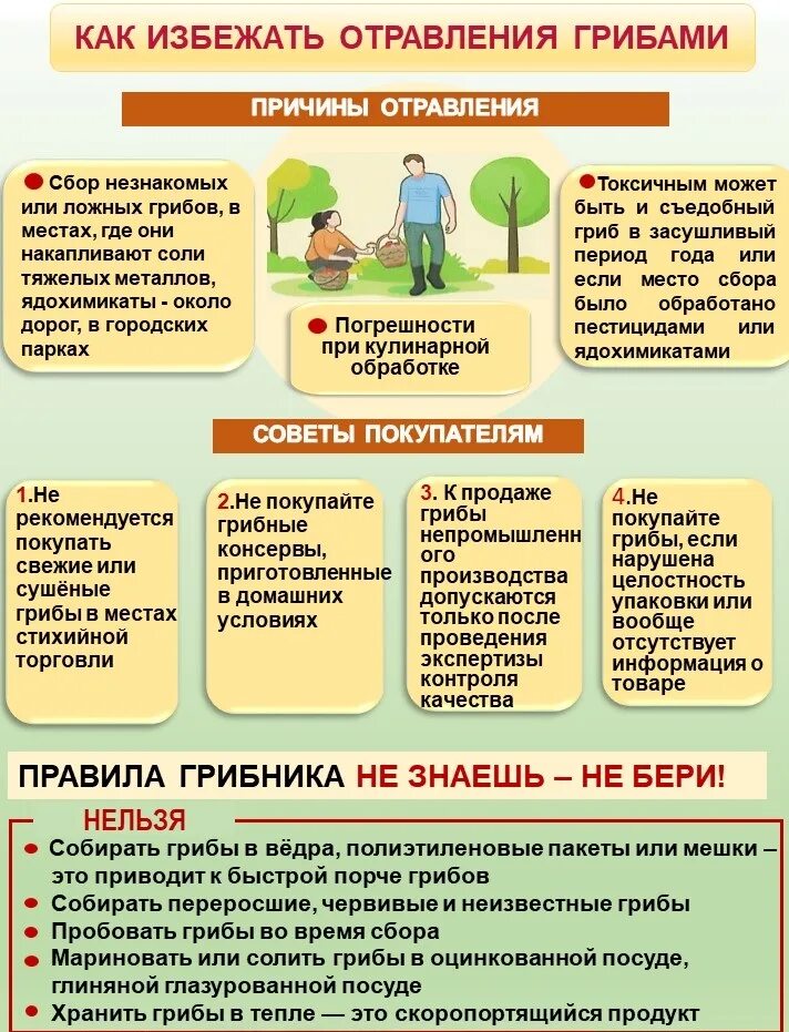 Отравление грибами симптомы через какое время. Как избежать отравление грибов. отравление грибами. как избежать отравления грибами. причины отравления грибами.