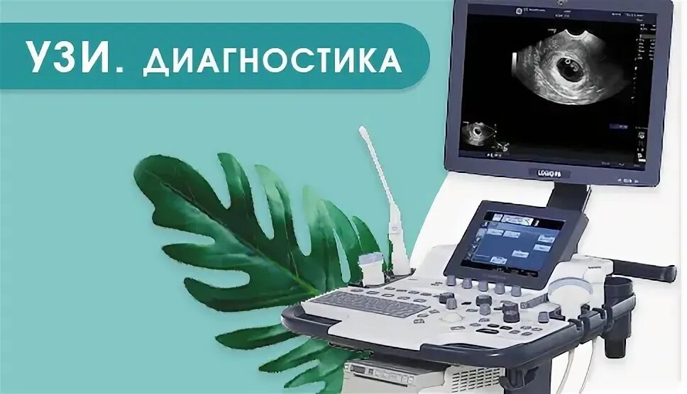 Ви и узи. Ви и узи