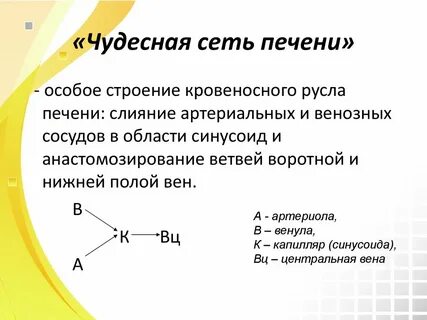 Особое строение