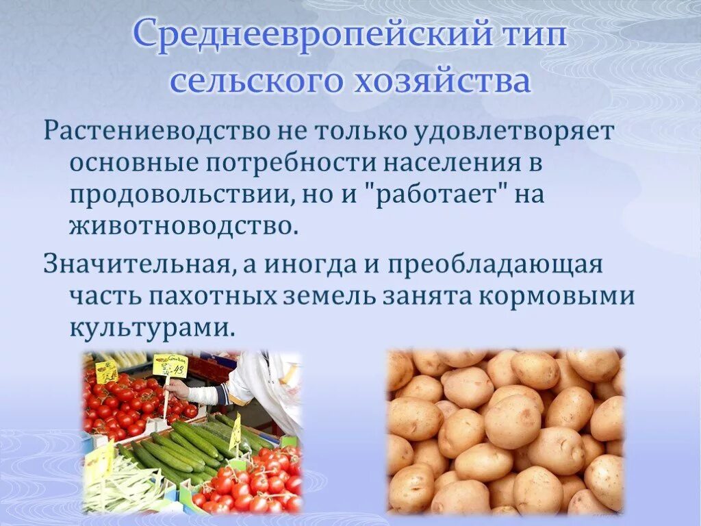 Какие потребности удовлетворяются растениеводством. Среднеевропейский Тип сельского хозяйства. Среднеевропейский Тип сельского хозяйства Растениеводство. Сельскохозяйственные культуры среднеевропейского типа. Потребности сельского хозяйства.