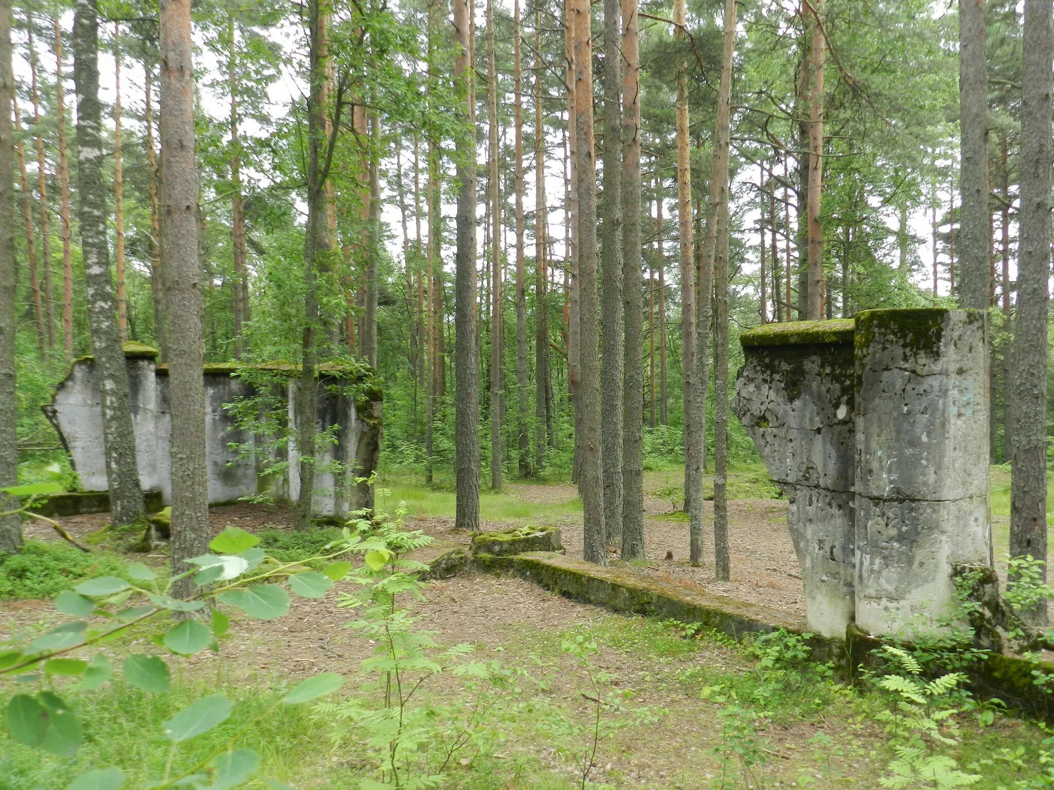 Деревня марьино нижегородская область. Деревня марьина гора. Кп марьина гора. Марьина гора новосибирск. Кп марьина гора.