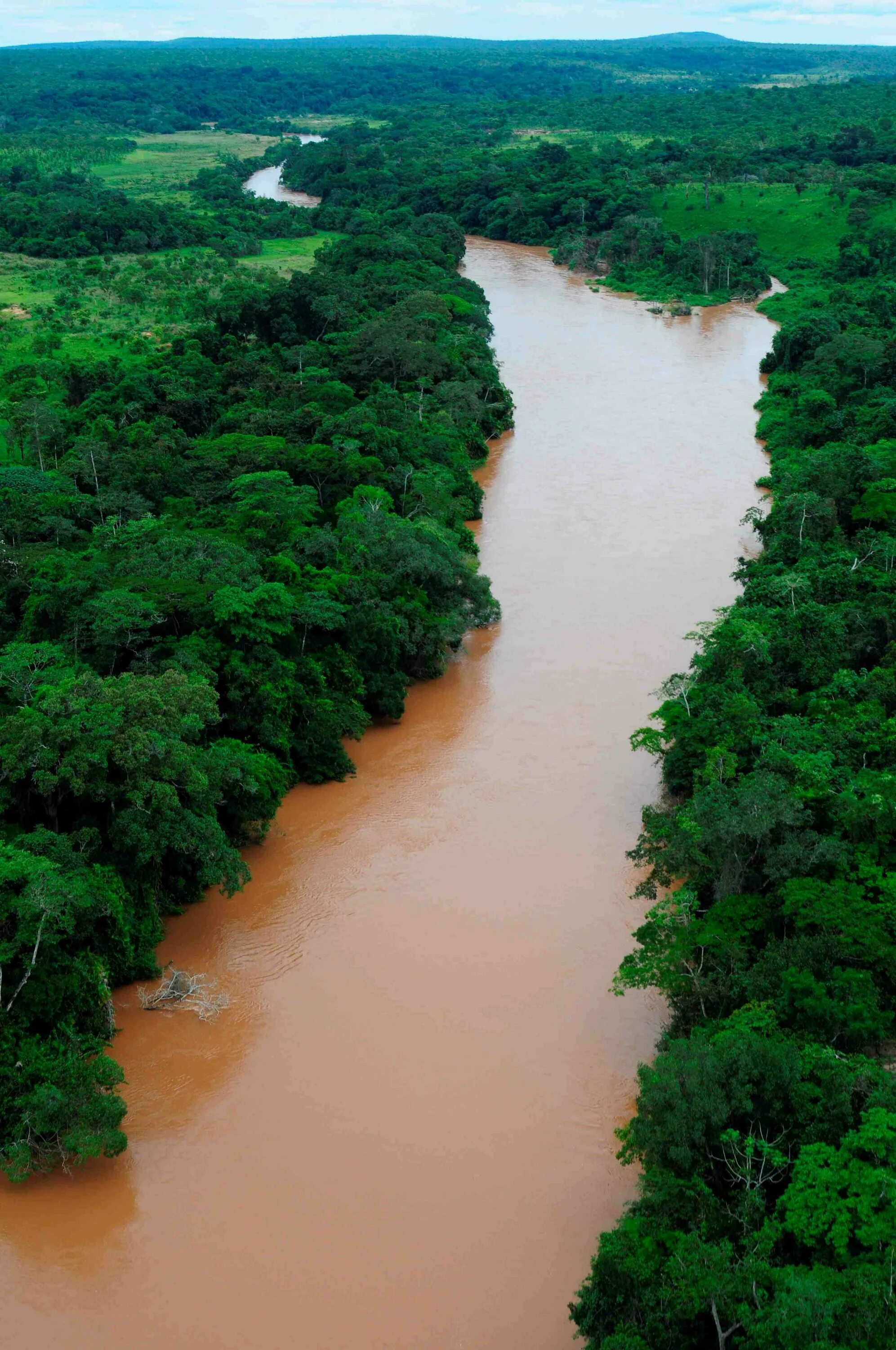 Река Лимпопо ЮАР. Лимпопо река в Африке. Конго самая полноводная река Африки. Africa river