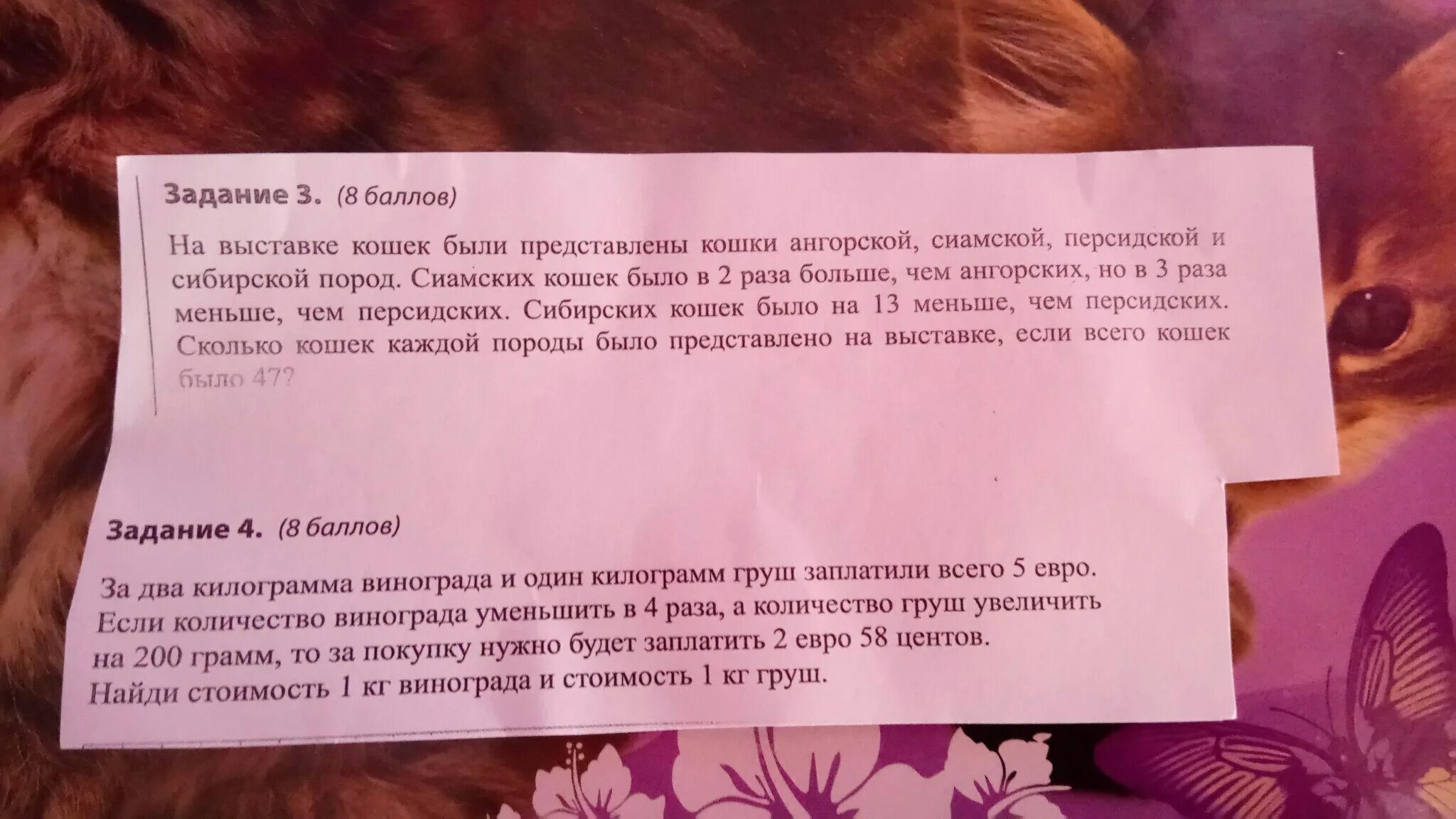 Прочитайте пожалуйста сколько здесь предложений. Песни если б мне платили