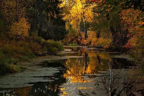Осенний пейзаж с рекой