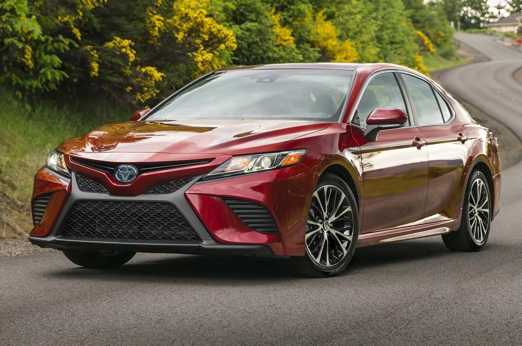 Тойота камри 2018. Новая тойота камри. camry 2025. новая тойота камри 2025 летом. toyota camry 028.