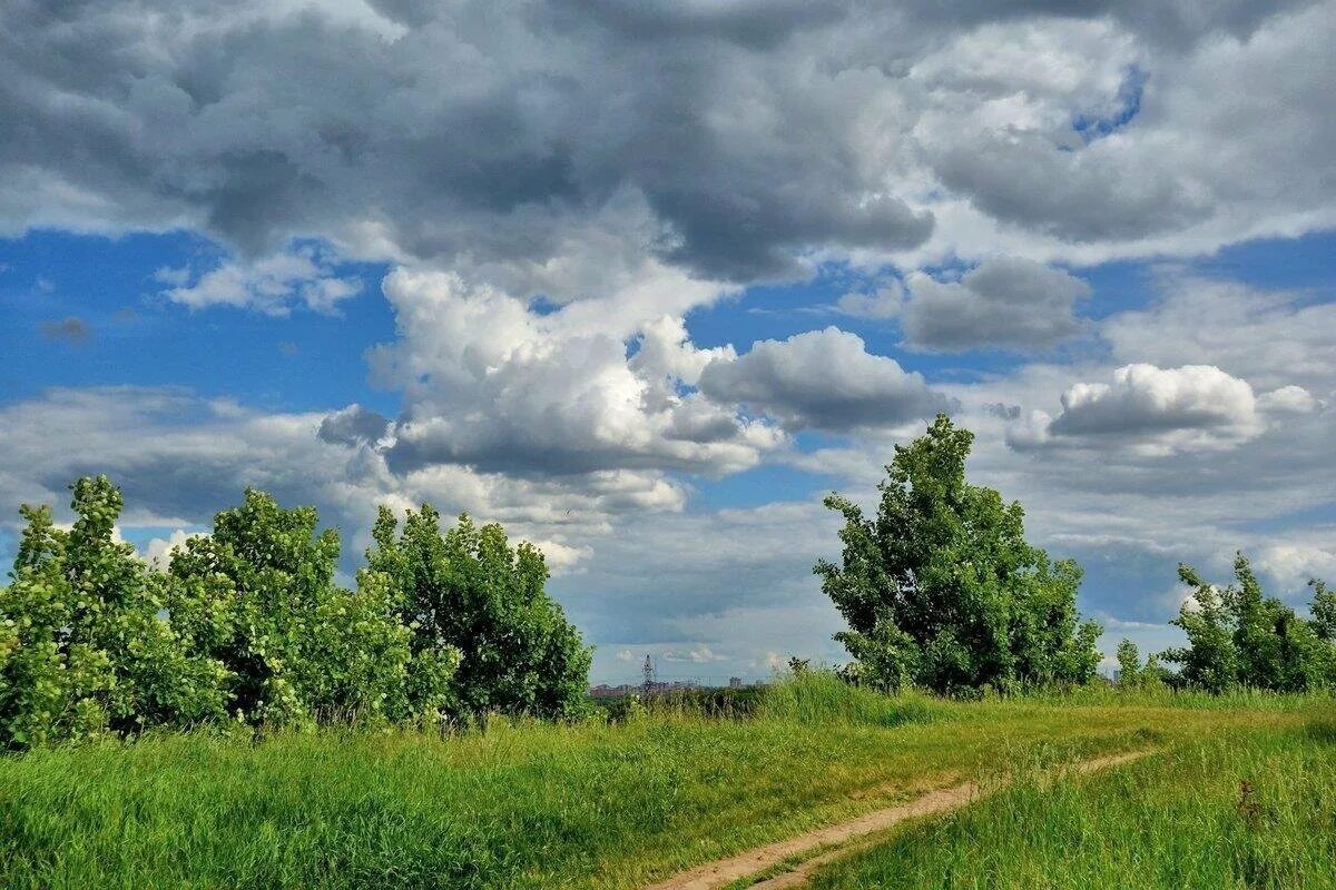 Июль пейзаж. Июльский пейзаж. Среднерусский пейзаж. Июнь пейзаж.