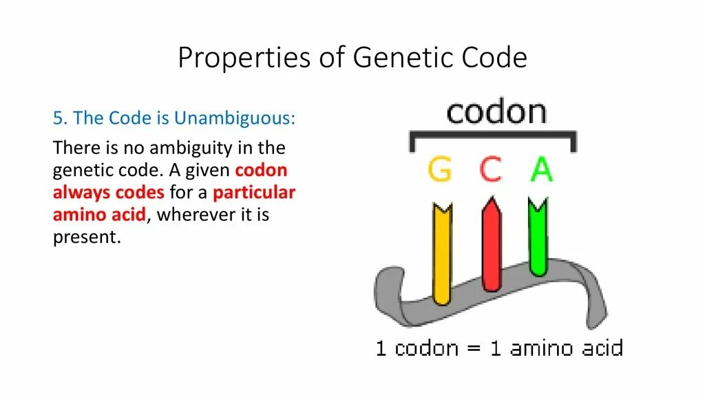 Genetic code properties. Genetic code жидкость. The main properties of genetic code. Gene code.