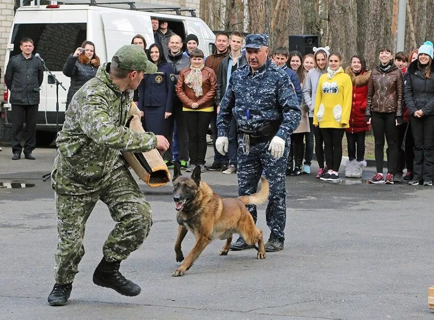 Южно-уральский колледж бизнеса кинолог. Барнаульский кинологический колледж. Волгоградский государственный аграрный университет кинология. Форма кинолога женская. Кинология волгоград колледж.